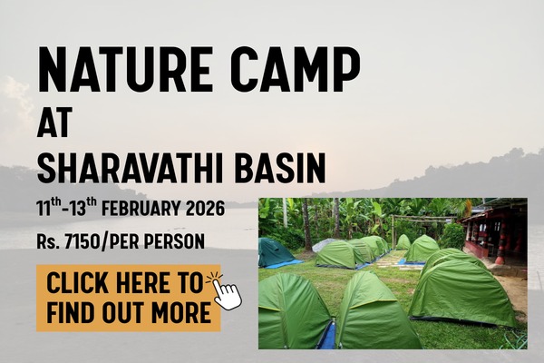 WhatsApp Image 2026-01-20 at 16.18.26